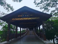 -长广溪湿地公园