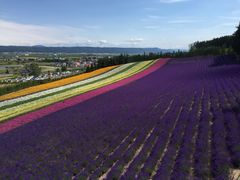 -富田农场