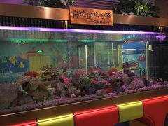 -御池园(顾村公园店)