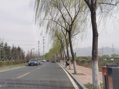 -洨河生态公园