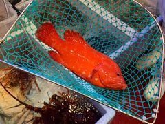 -協成海鮮火鍋(老店)