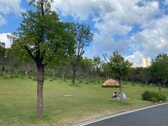 -牛岗山公园