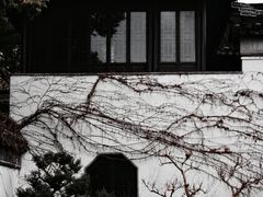 -南园(太仓市)