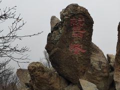 -北京鹫峰国家森林公园