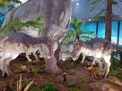 -湖南省地质博物馆