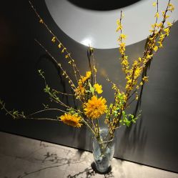 -美壹生皮肤管理中心