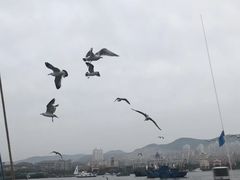 -拓恩帆船俱乐部