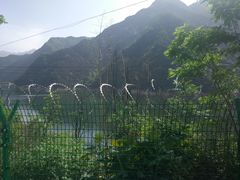 -石砭峪水库