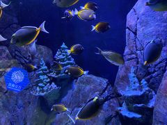 -成都浩海立方海洋公园