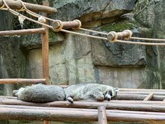-杭州野生动物世界