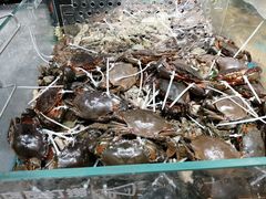 -盒马鲜生(皇庭广场店)