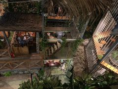-Rainforest