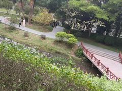 -东莞植物园