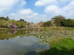 -云溪植物园