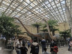 -国家自然博物馆