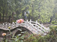 -东坡赤壁风景名胜区