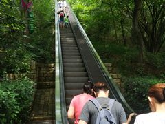 -天目湖山水园