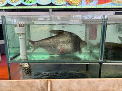 -大笑饭堂(甲子桥店)