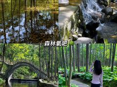 -洛阳白云山景区