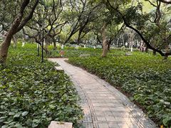 -黄埔荔枝公园
