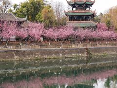 -望江楼公园