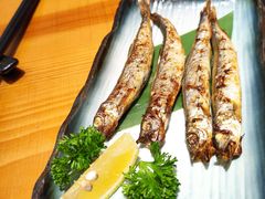 -锦鲤堂日本料理(莱茵之星店)