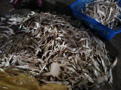 -众彩物流水产市场