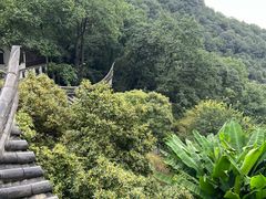 -灵隐飞来峰景区