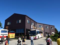 门面-济州岛泰迪熊博物馆