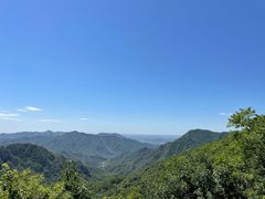 -大岭沟猕猴桃谷风景区