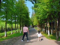 -乌村