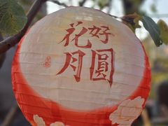 -正阳书局(西四南大街店)