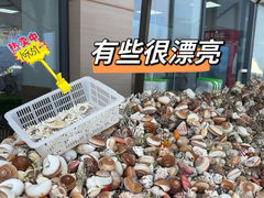 -巧克力渔家.小船海鲜家常菜(三浴场店)