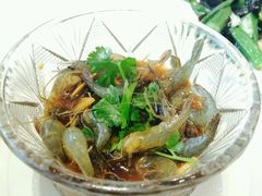 -张生记(双菱店)
