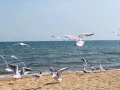 -金梦海湾浴场