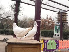 -西安秦岭野生动物园