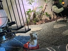 -J Create城市露营咖啡·简餐·宠物(上海动物园店)