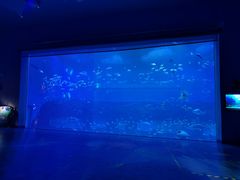 -南昌融创海世界