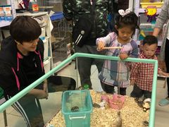 -钓仓鼠(洋桥北里小区店)