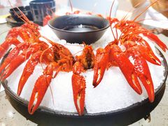 冰镇龙虾-一棠龙虾(徐家汇城开YOYO店)