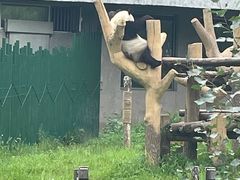-沈阳森林动物园