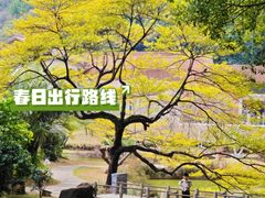 -广州雕塑公园