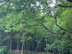 -韶山毛泽东同志故居