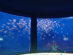 -沈阳海洋探索中心