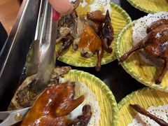 -麻奢鸽农庄·梦里水乡