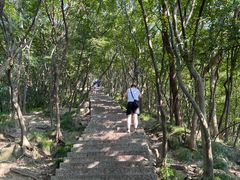 -紫金山山顶公园