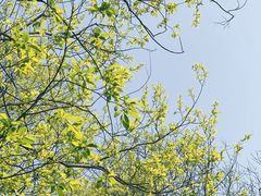 -西湖风景区-江洋畈生态公园