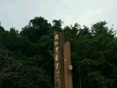 -铁山坪森林公园