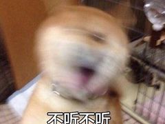 -胖哥俩肉蟹煲(河北勒泰购物中心店)