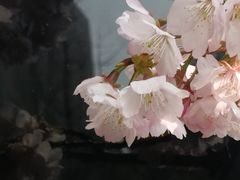 -静安雕塑公园